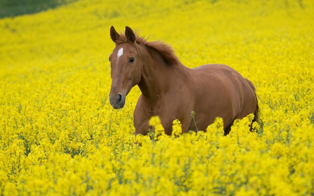 Herdade Do Gizo Куба Экстерьер фото